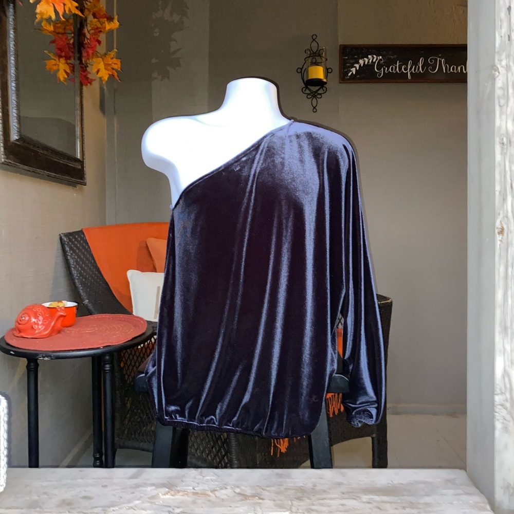 World Market Off the Shoulder Lavender Velvet Sweater Top Size S/M